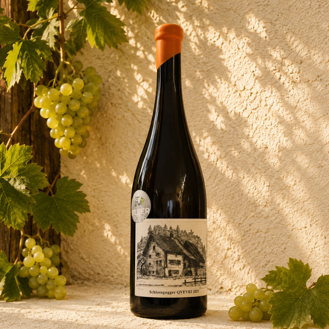 Schlossgugger QVEVRI 2025 - Médaille d'argent au PIWI Wine Award Austria 2026