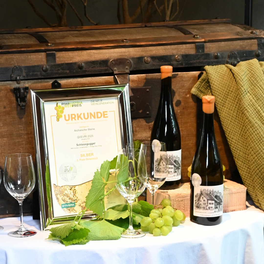 Schlossgugger QVEVRI 2025 - Médaille d'argent au PIWI Wine Award Austria 2026