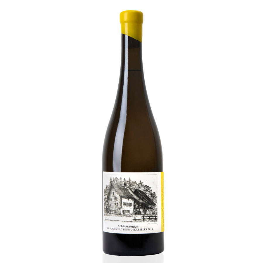 Muscaris / Blütenmuskateller 2024 - Zlatá medaile na PIWI Wine Award Austria 2025