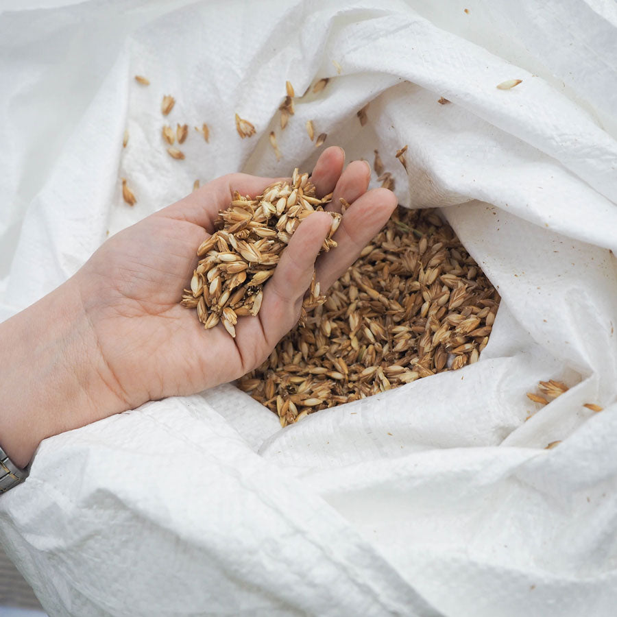 Neck roll spelt, organic
