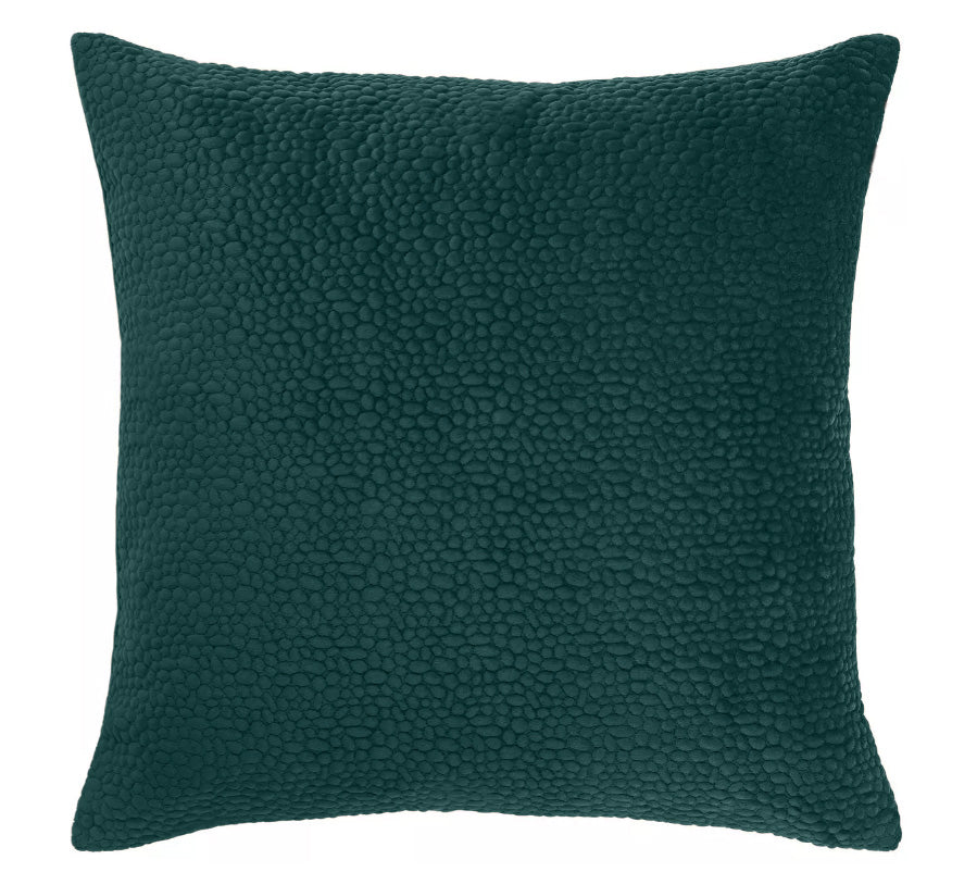 Housse de coussin en velours avec broderie