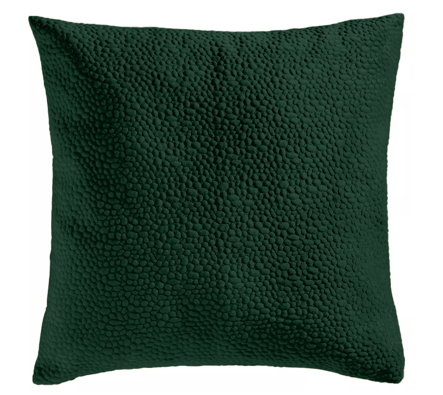 Housse de coussin en velours avec broderie