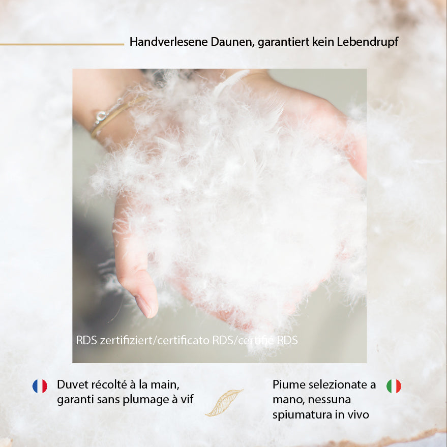 Couette en duvet