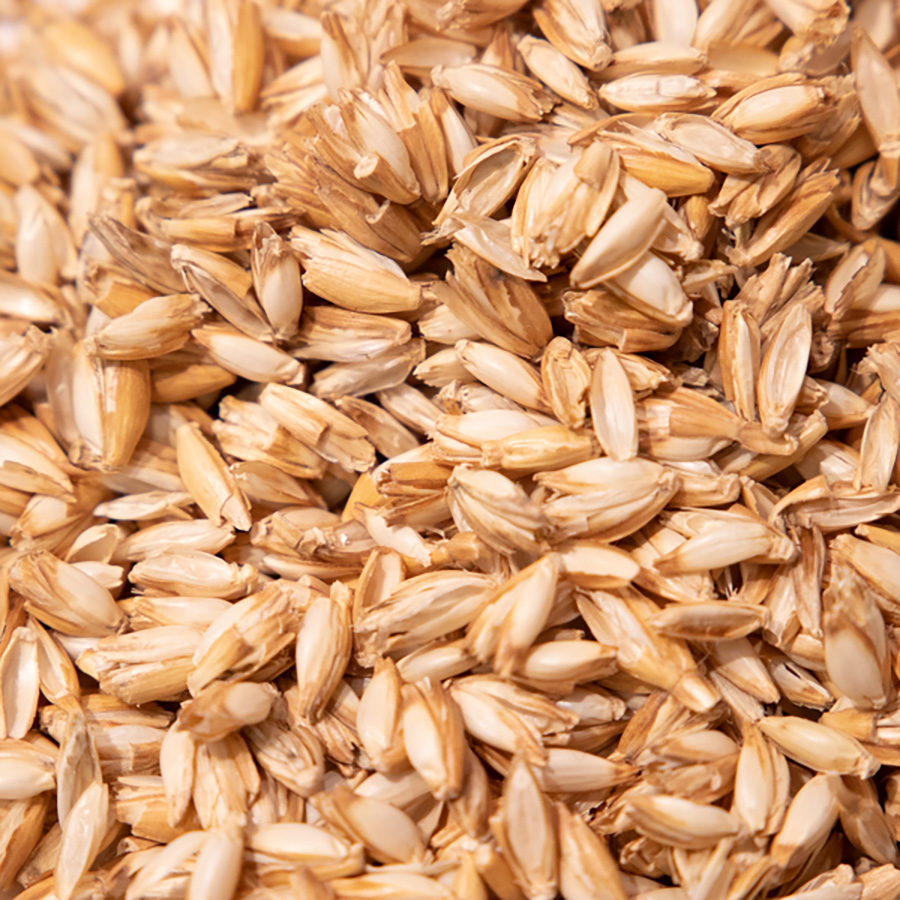 Cuscino di farro, biologico