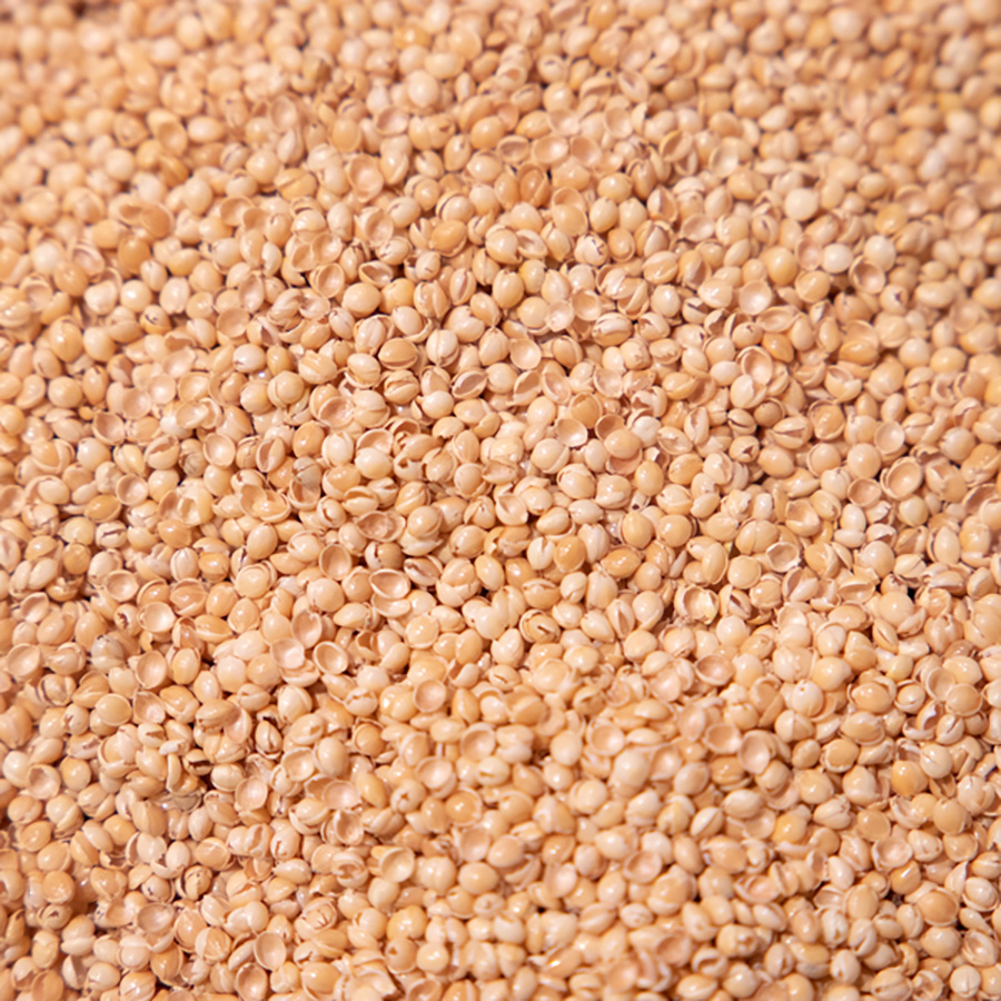 Cuscino di miglio, biologico
