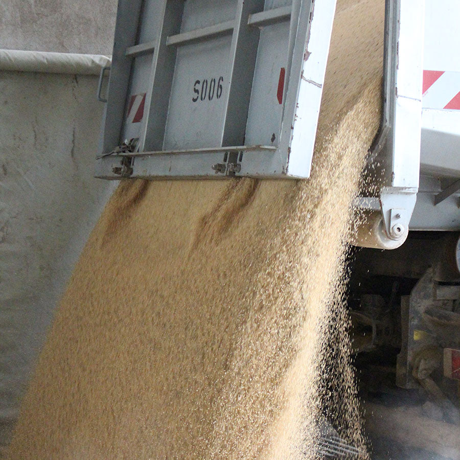 Cuscino di miglio con trucioli di pino cembro, biologico